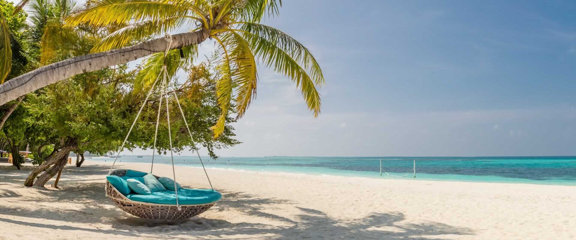A tropical sandy beach with a palm tree leaning towards the sea.