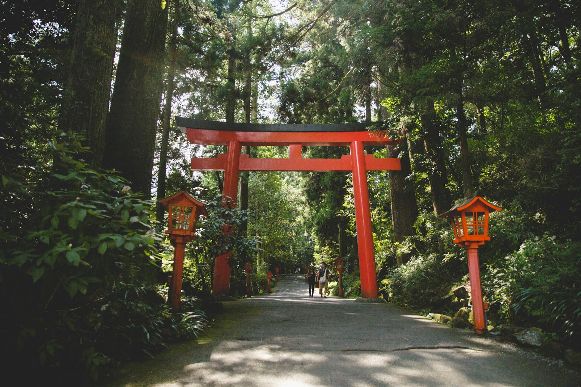 serene pathway through hakone torii gate
