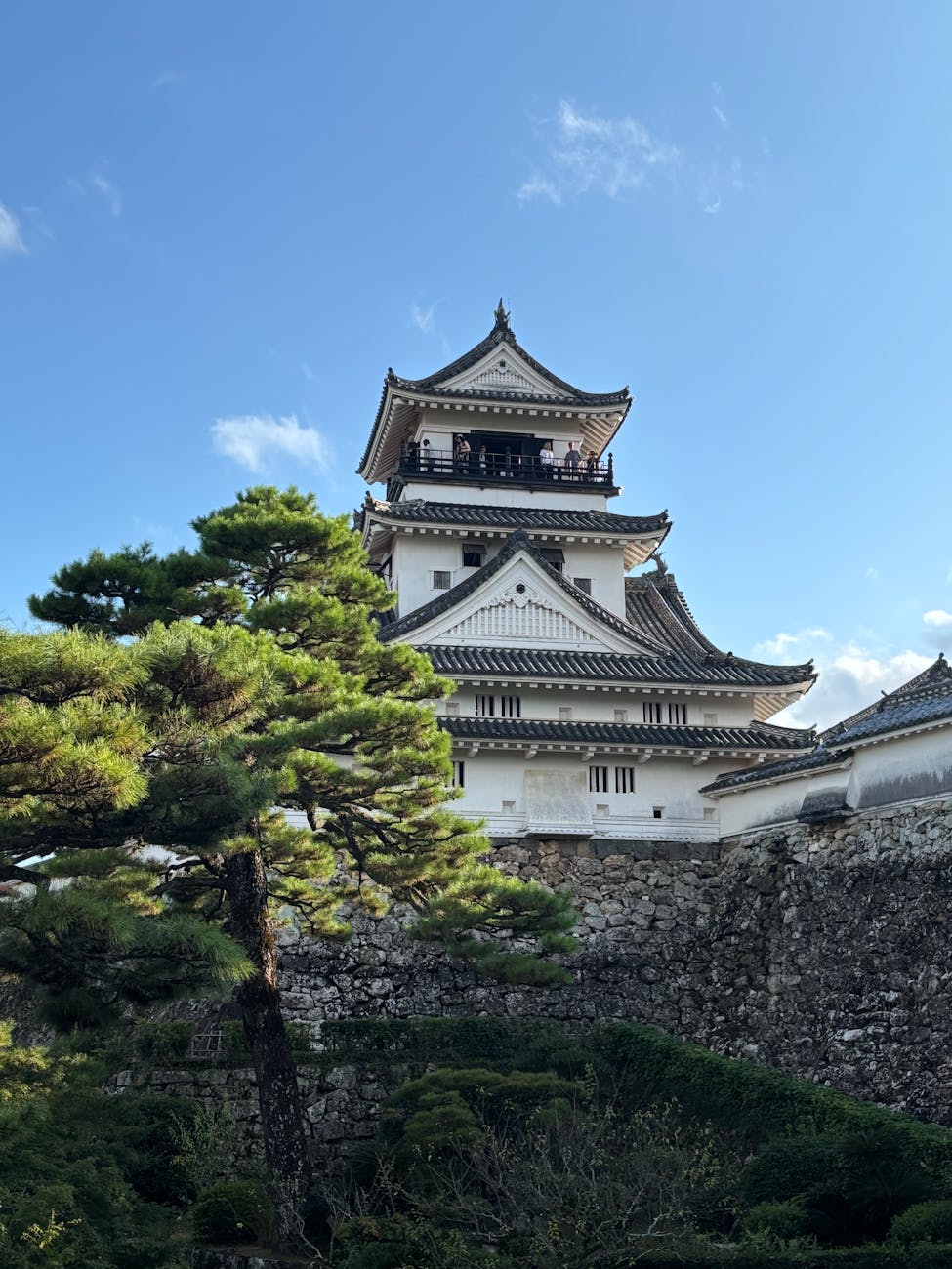 Japan In Depth