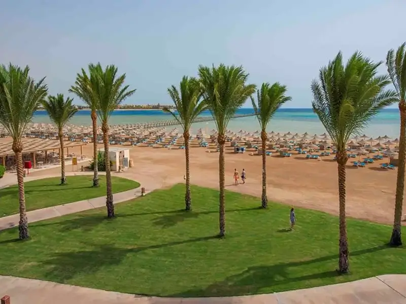 Makadi Bay Sunsets and Palm Trees