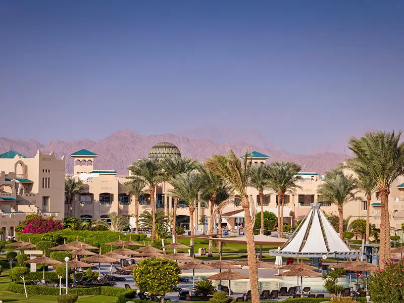 Red Sea Coastline and Coral Reefs Sharm El Sheikh