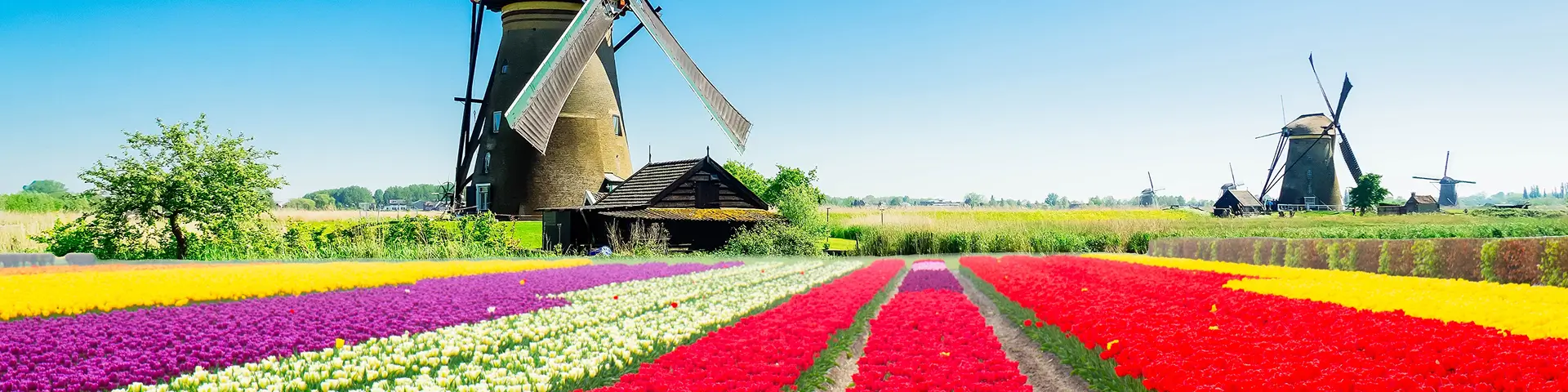 Festive Amsterdam City Break From London